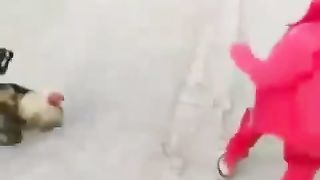 Super kungfu