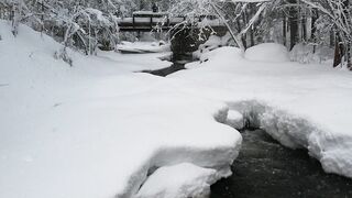 Brook cold flowing forest hike ice strom stress weather