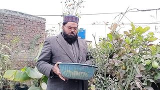 اج ہم نے اپنی چھت سے ایک نئے پھل کے ساتھ اور کون سے پھل توڑے