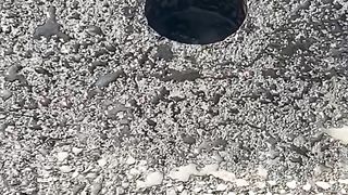 Pavement 2