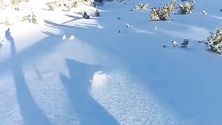 surfing in the snow
