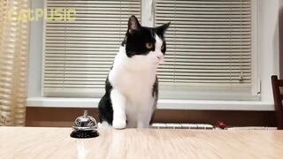 Waiter! Bring me food!