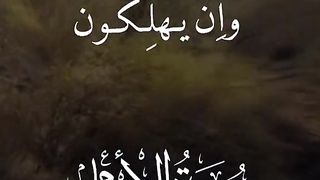 Quran 134