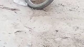 The motorcycle