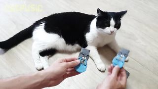 Flying Socks