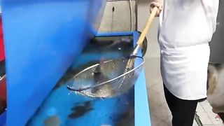 Pufferfish eats carrot