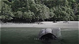 Funny survival