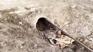 Respected my video please