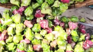 Bangladesh's most unique Water Fruit Farming