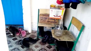 КОТЯТА КРЫСОЛОВЫ
