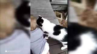 Это Нужно Видеть