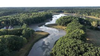 Aerial day flying lush nature rural stream stress