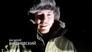 Где ночуют птицы