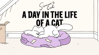 A DAY IN THE LIFE OF A CAT