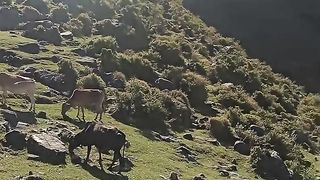Old song with beautiful places and mountain of kashmir