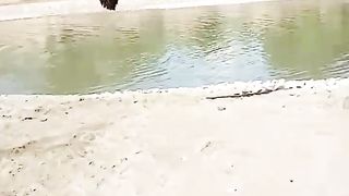 See how guy falls on his face