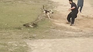 Good bowling 2