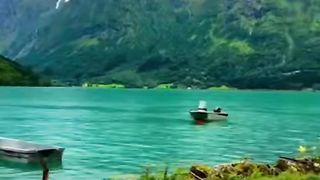 MY GREEN NATURE