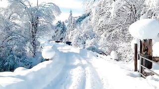 would you like to walk here