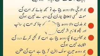 اسلامی معلومات Like share follow 406