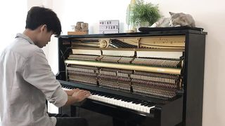 A Soothing Piano Music for The Fall
