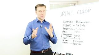 What Urine Color Indicates About Your Body – Dr.Berg