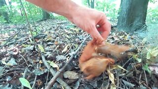 Что СТАЛО с БЕЛОЧКОЙ, КОТОРУЮ СПАСЛИ МЕСЯЦ СПУСТЯ