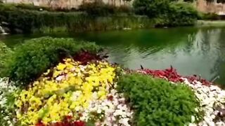 FLOWER GARDEN