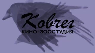 История говорящего ворона Карлуши из кино-зоостудии Ковчег