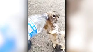 Эти Животные ЗВАЛИ на ПОМОЩЬ! Попробуй НЕ ЗАПЛАКАТЬ и Спасение животных