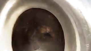 Hajri Aswad ki kia bat hay