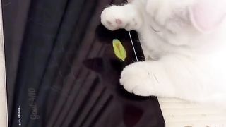 Funny actions 143