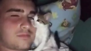 Funny actions 144