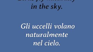 Learn English to Italian Adverbs 12 5
