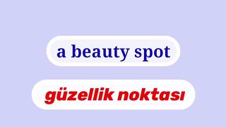 Learn English to Turkish Parts of Body