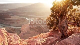 nice montain  ess and enjoy