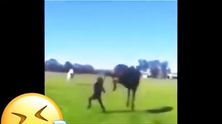 Tik tok funny video