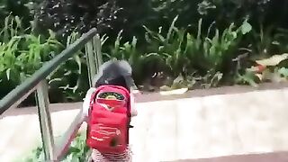 Поехали