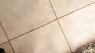 Funny Animals - Pls Click Ads
