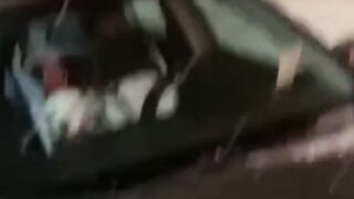 Pets are Funny - Pls Click Ads