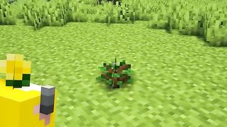 How to graw a Tree in Minecraft