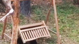 Try not to laugh. #Shorts #Memes #Funny #Viral #Daily Shorts #For you #Fyp