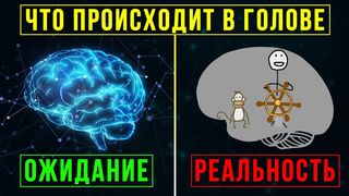 Почему мы постоянно откладываем дела на потом? Главная причина прокрастинации!