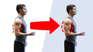 How to force Muscle growth