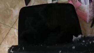 Blackcat