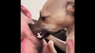 Funniest animals