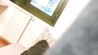 FUNNY PETS 3