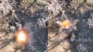 Destroying Russian invaders from above near Bakhmut