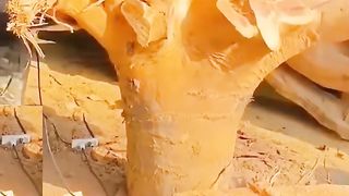 Amazing skill 9