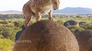 How to make growing ???????????? to get waooow to get waooow you